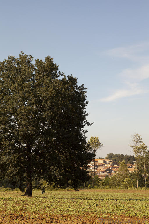 Agriturismo Creta Rossa Torre di Ruggiero Ngoại thất bức ảnh