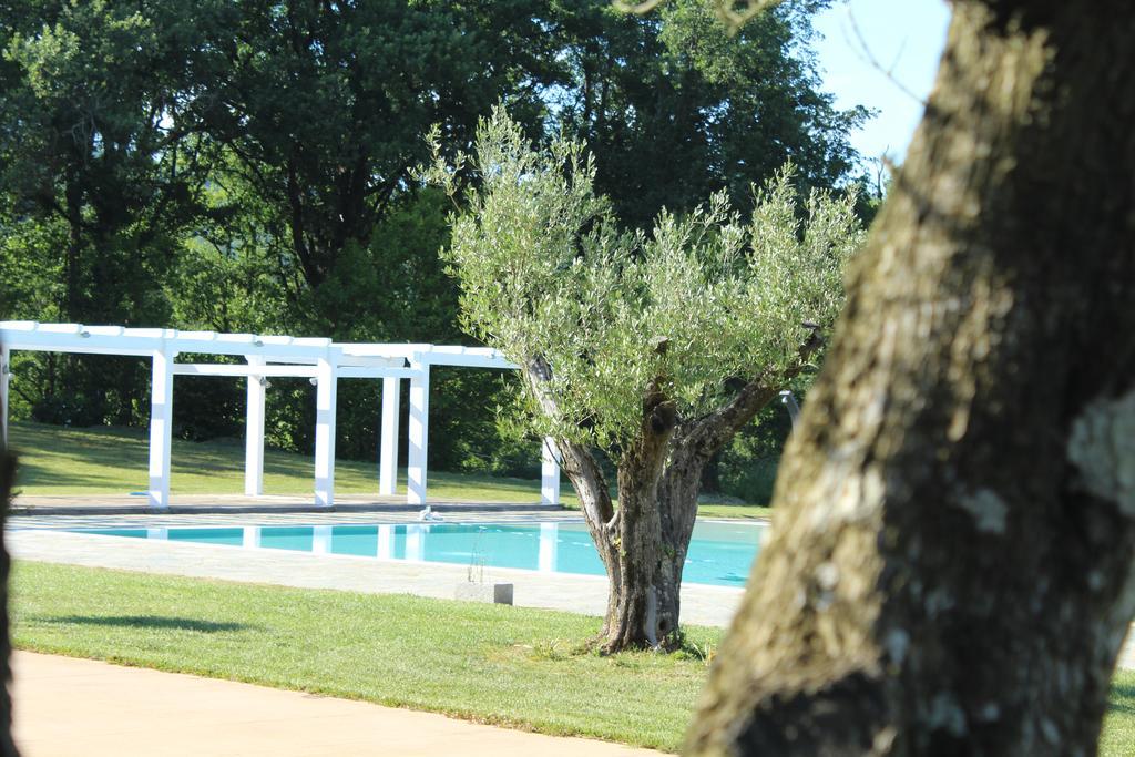 Agriturismo Creta Rossa Torre di Ruggiero Ngoại thất bức ảnh
